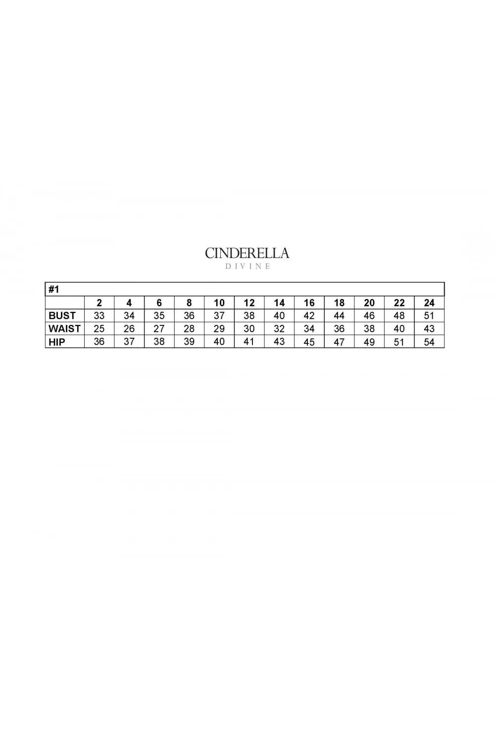 Cinderella Evening Dress CD243C