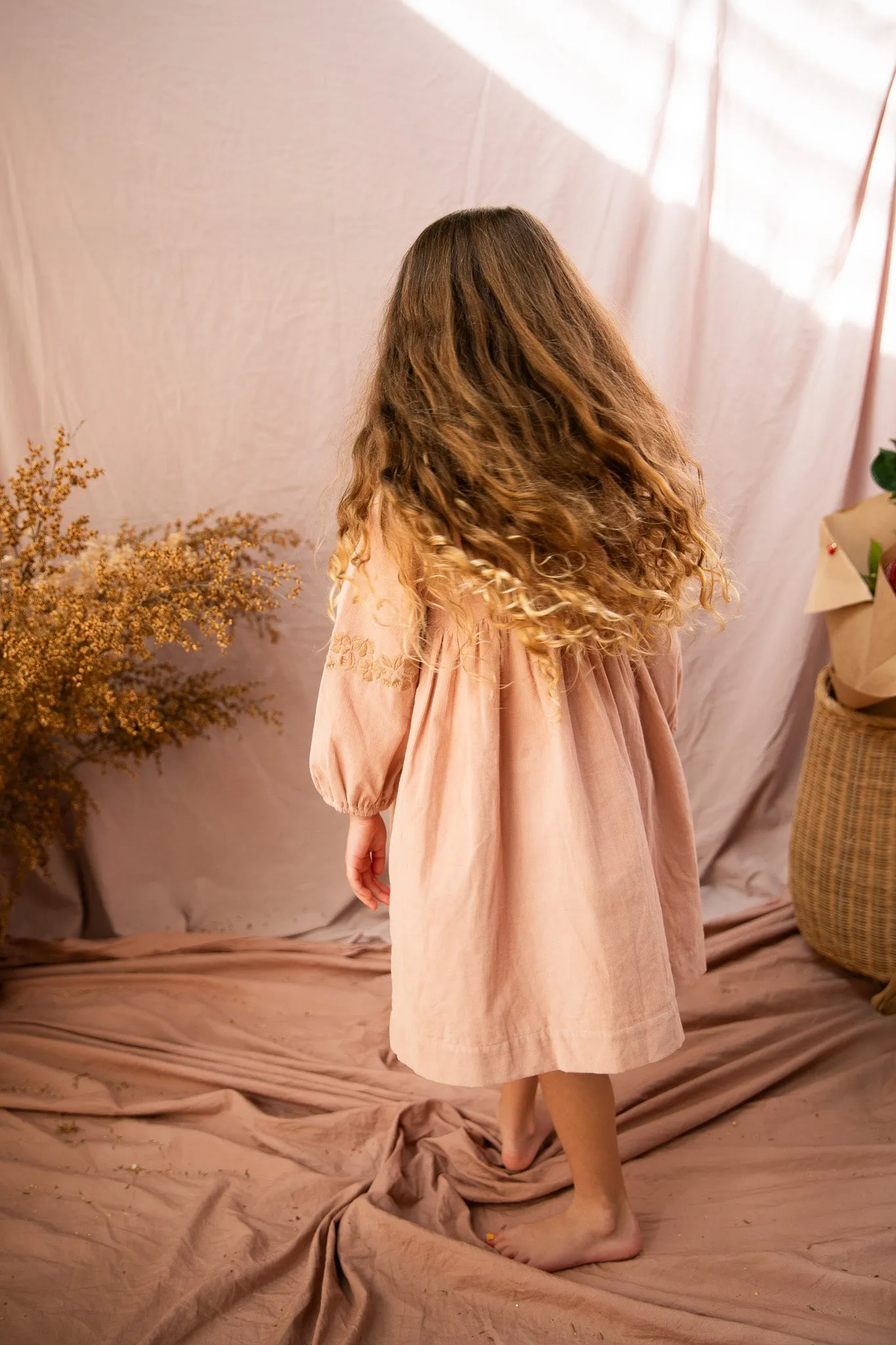 Emmy Dress-Ash Rose
