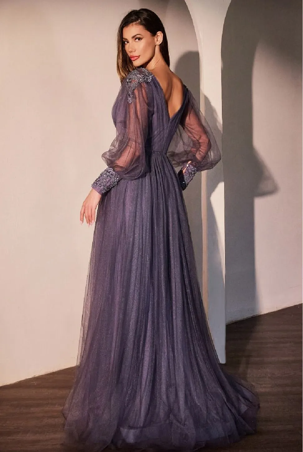 LaDivine by Cinderella Divine Evening Gown CD0938