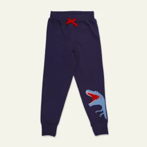 Navy Dinosaur Applique Joggers