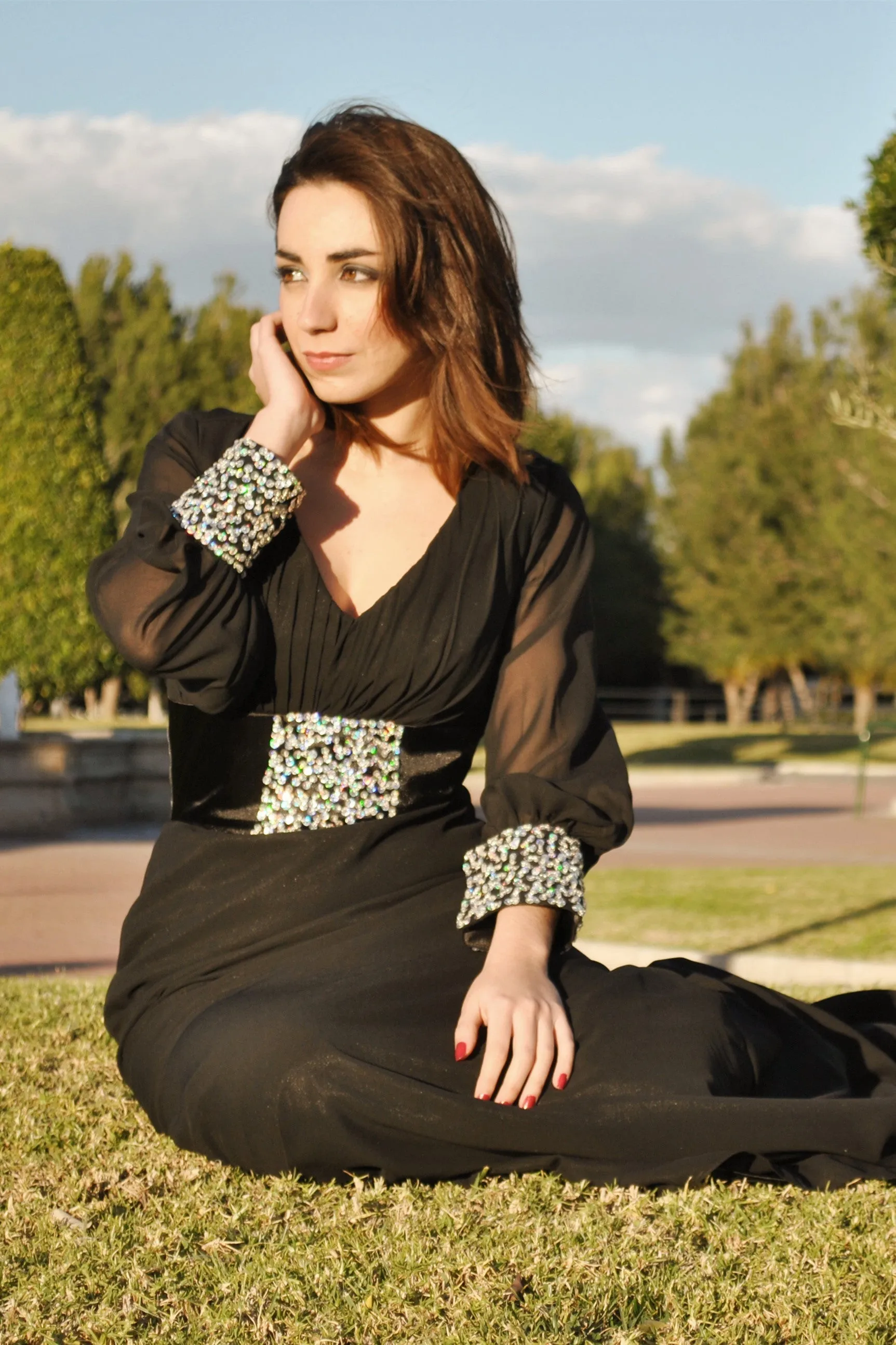 Sheath V-neck Long Sleeves Floor Length Beaded Chiffon Evening Dress
