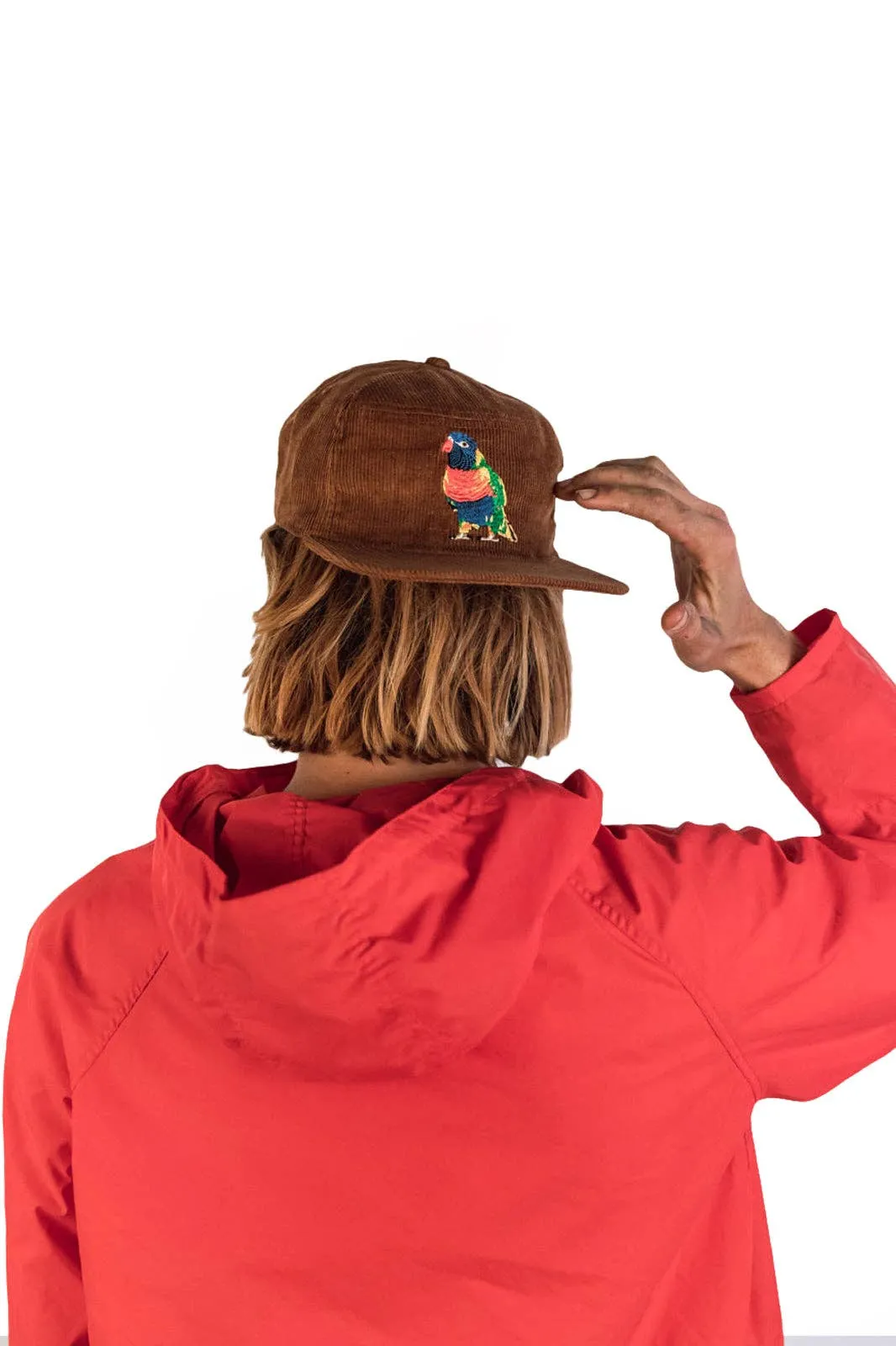 The Stash Cap -  Brown Rainbow